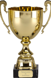 golden_cup_PNG14548
